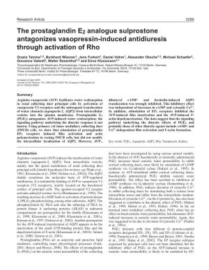 The Prostaglandin E2 Analogue Sulprostone Antagonizes Vasopressin-Induced Antidiuresis Through Activation of Rho