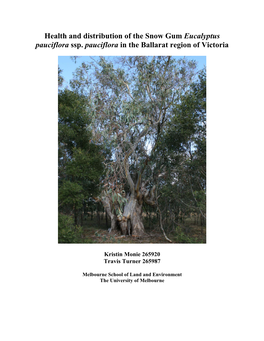 Health and Distribution of the Snow Gum Eucalyptus Pauciflora Ssp