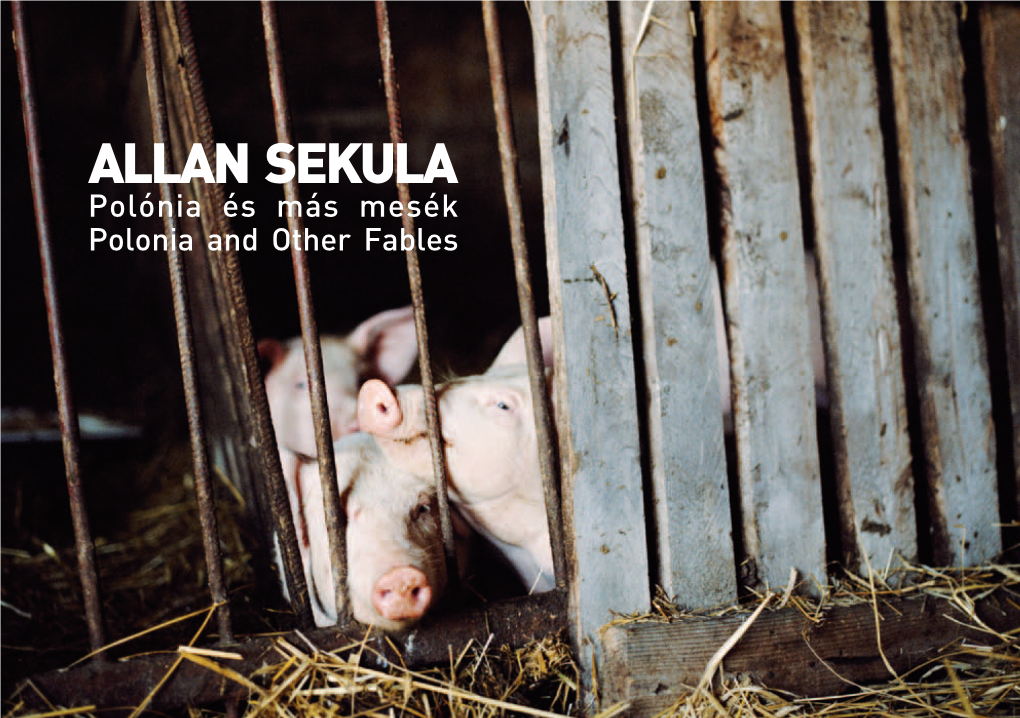 Allan Sekula Polónia És Más Mesék Polonia and Other Fables 1