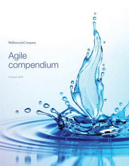 Agile Compendium
