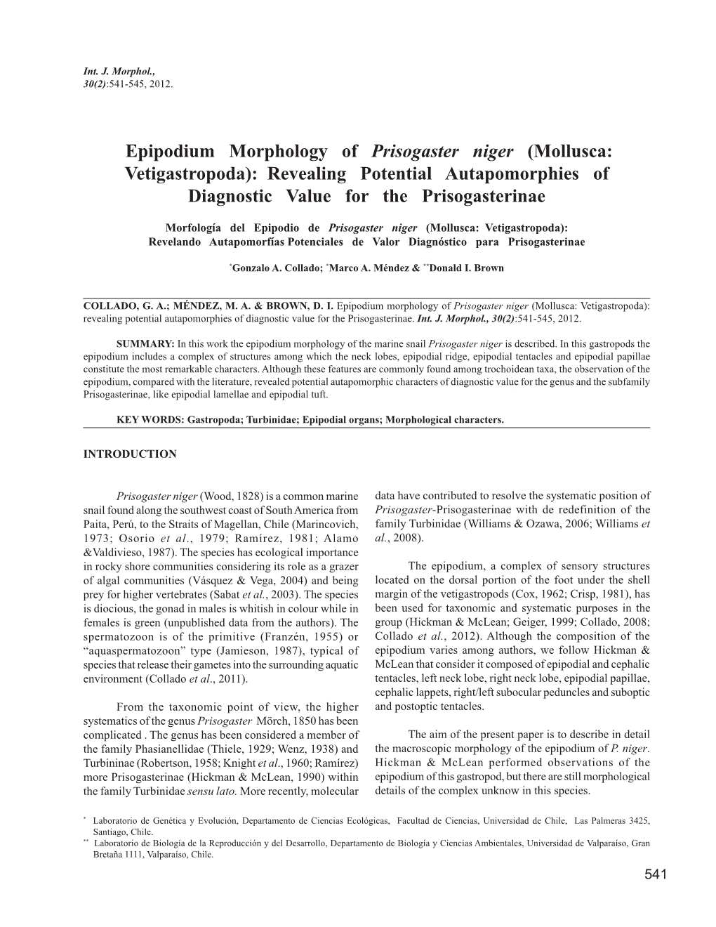 Epipodium Morphology of Prisogaster Niger (Mollusca: Vetigastropoda): Revealing Potential Autapomorphies of Diagnostic Value for the Prisogasterinae