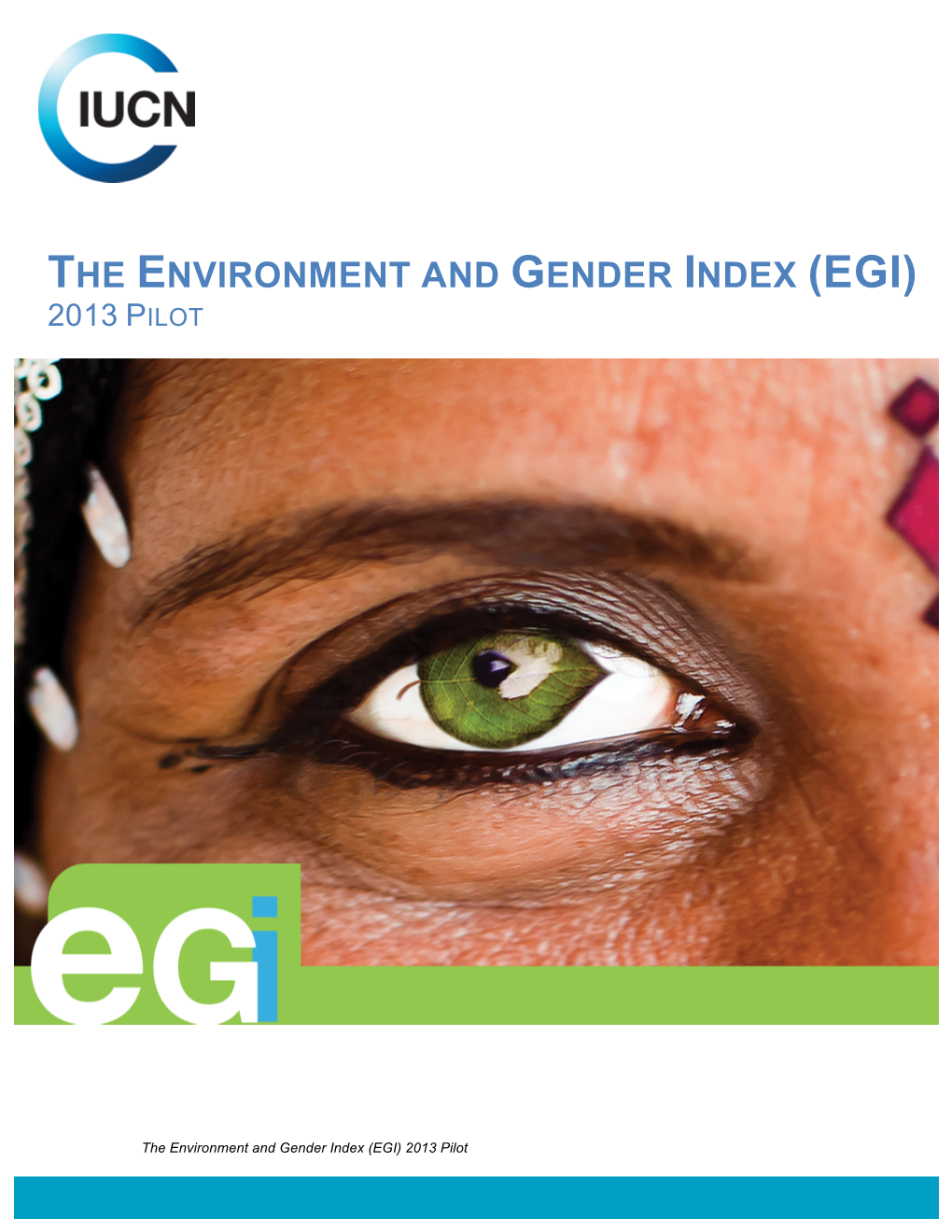 The Environment and Gender Index (Egi) 2013 Pilot