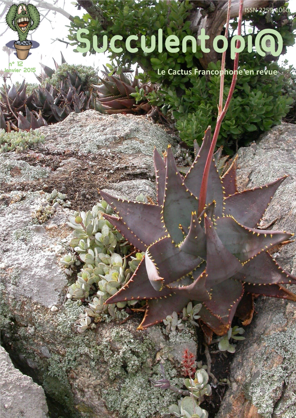 Au Cactus Francophone