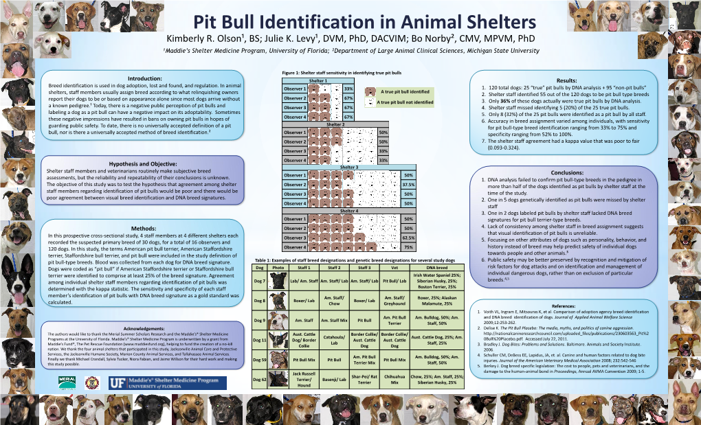 Pit Bull Identification in Animal Shelters Kimberly R. Olson, BS