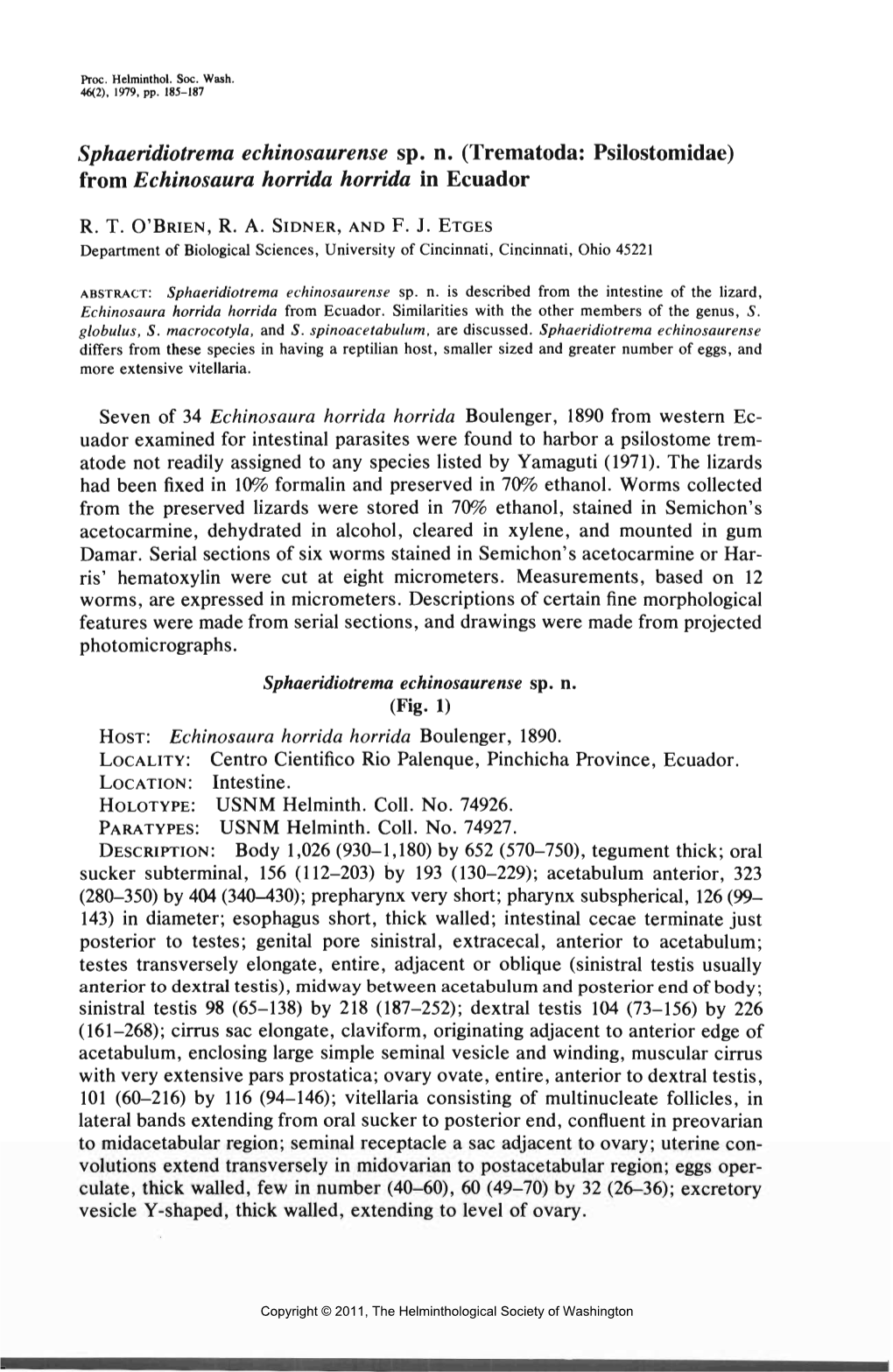 Trematoda: Psilostomidae) from Echinosaura Horrida Horrida in Ecuador