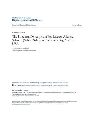 The Infection Dynamics of Sea Lice on Atlantic Salmon (Salmo Salar) in Cobscook Bay