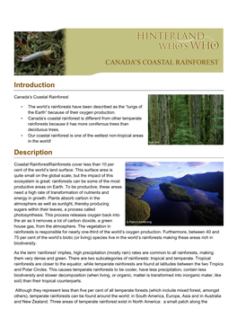 Canada's Coastal Rainforests