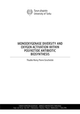 Monooxygenase Diversity and Oxygen Activation Within Polyketide Antibiotic Biosynthesis