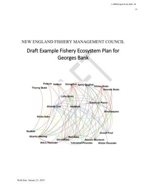 Draft Example Fishery Ecosystem Plan for Georges Bank