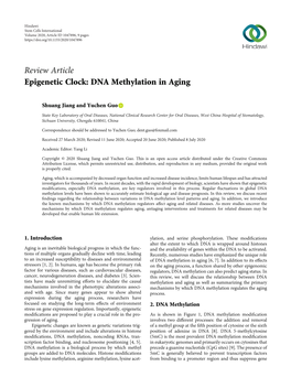 Epigenetic Clock: DNA Methylation in Aging