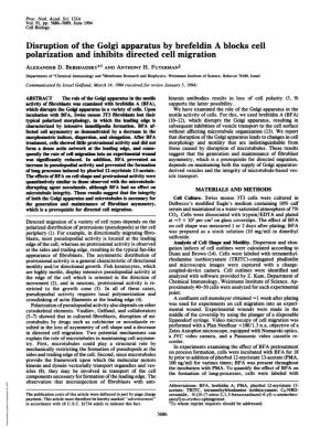 Disruption of the Golgi Apparatus by Brefeldin a Blocks Cell Polarization and Inhibits Directed Cell Migration ALEXANDER D