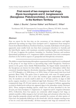 First Record of Two Mangrove Leaf Slugs, Elysia Leucolegnote and E