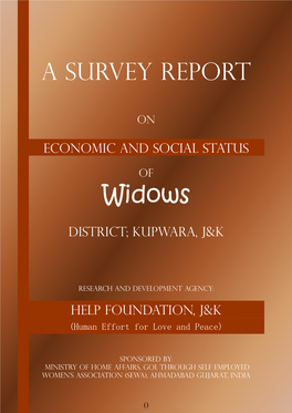 A Survey Report Widows