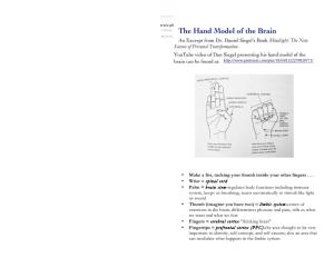 The Hand Model of the Brain an Excerpt from Dr