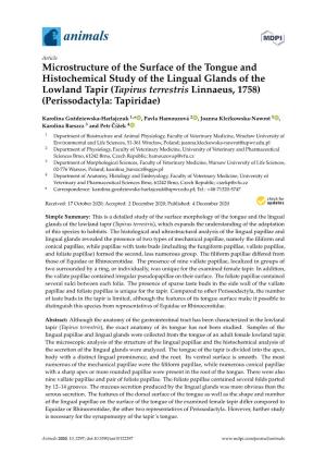 Microstructure of the Surface of the Tongue and Histochemical Study Of