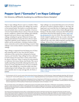 Pepper Spot (“Gomasho”) on Napa Cabbage1 Eric Simonne, Jeff Brecht, Guodong Liu, and Monica Ozores-Hampton2