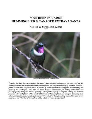 Southern Ecuador Hummingbird & Tanager
