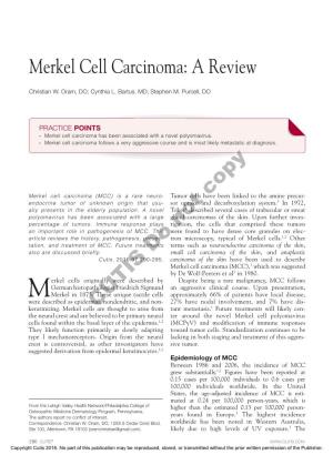 Merkel Cell Carcinoma: a Review