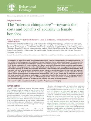 The “Tolerant Chimpanzee”—Towards the Costs and Benefits of Sociality in Female Bonobos