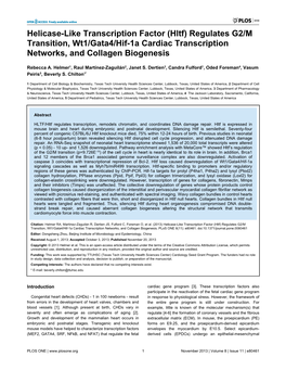 (Hltf) Regulates G2/M Transition, Wt1/Gata4/Hif-1A Cardiac Transcription Networks, and Collagen Biogenesis