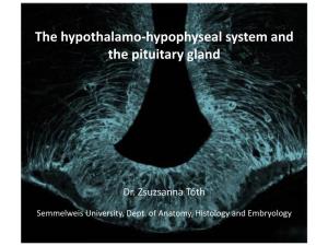 The Hypothalamo-Hypophyseal System and the Pituitary Gland