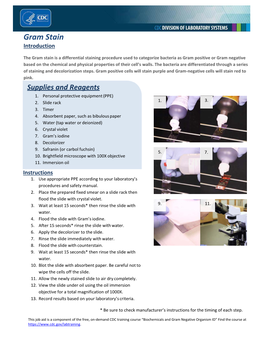 Gram Stain Introduction