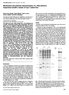 Biochemical and Genetical Characterization of a Fiber-Defective Temperature-Sensitive Mutant of Type 2 Adenovirus