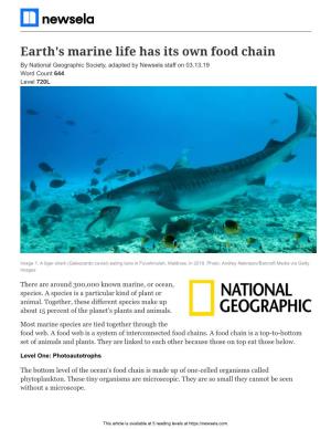Earth's Marine Life Has Its Own Food Chain by National Geographic Society, Adapted by Newsela Staff on 03.13.19 Word Count 644 Level 720L
