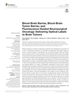 Blood-Brain Barrier, Blood-Brain Tumor Barrier, and Fluorescence-Guided Neurosurgical Oncology: Delivering Optical Labels To