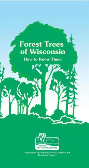 Forest-Trees-Of-Wisconsin---How-To-Know-Them