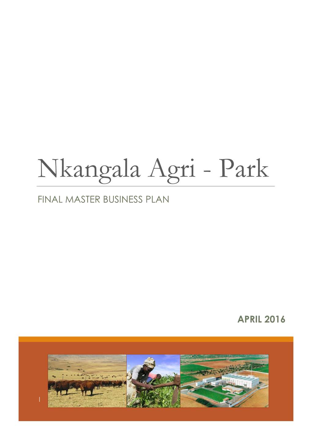 Nkangala DM Final Master Agri-Park Business Plan