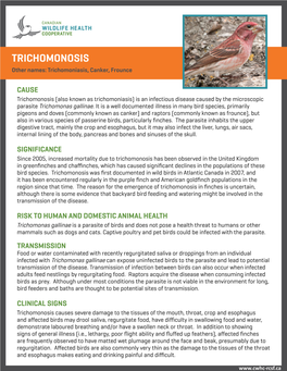 TRICHOMONOSIS Other Names: Trichomoniasis, Canker, Frounce