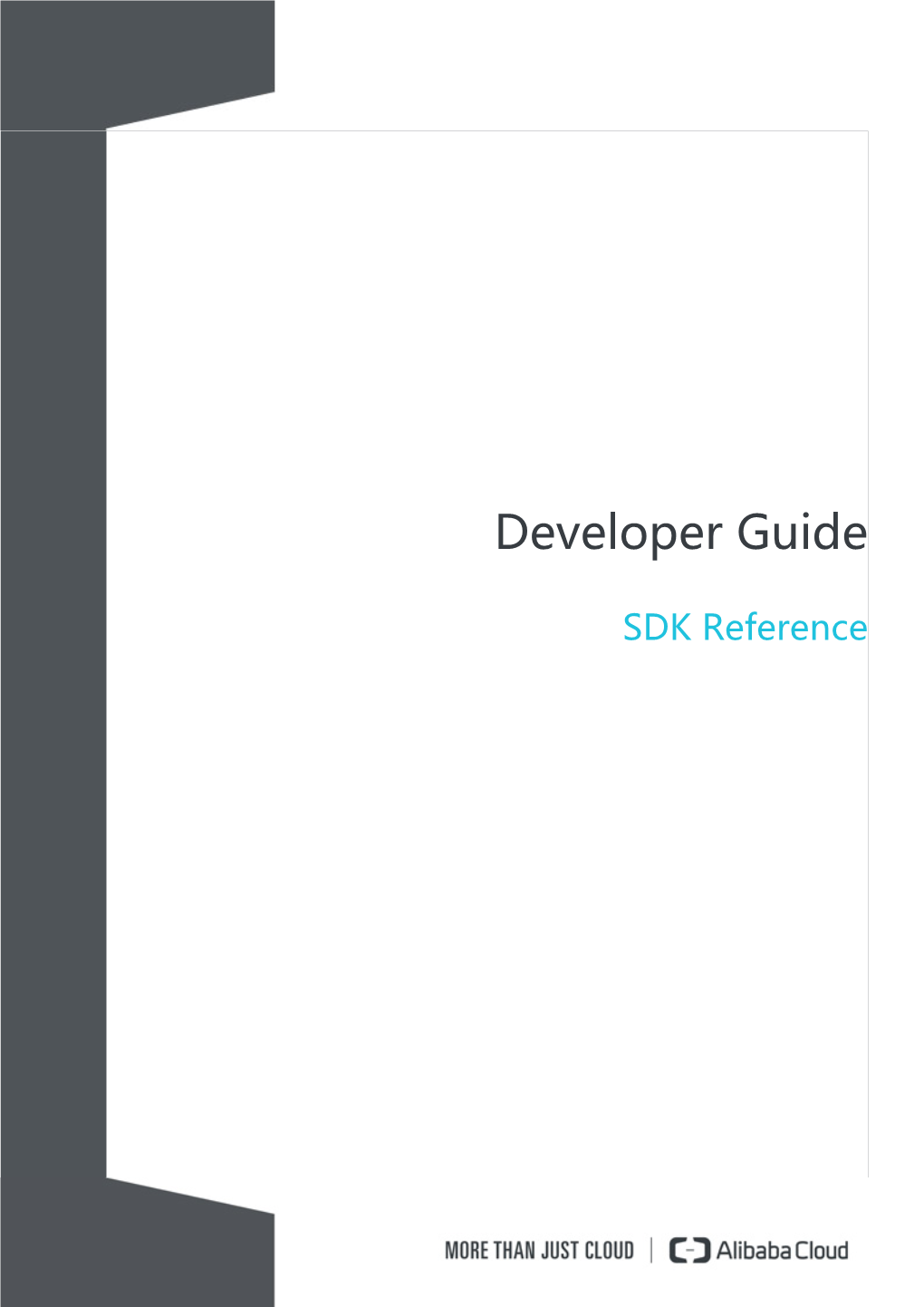 Developer Guide