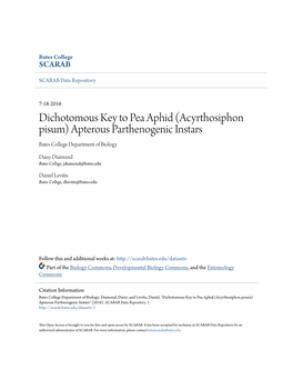 Dichotomous Key to Pea Aphid (Acyrthosiphon Pisum) Apterous Parthenogenic Instars Bates College Department of Biology