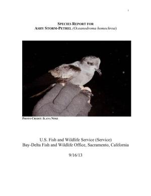 SPECIES REPORT for ASHY STORM-PETREL (Oceanodroma Homochroa)