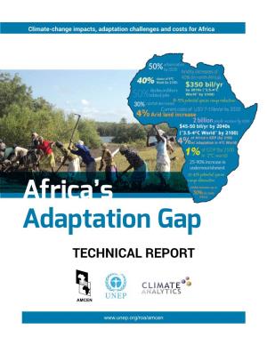 Africa Adaptation Gap Technical Report