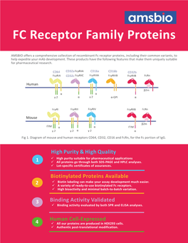 FC Receptor Family Proteins
