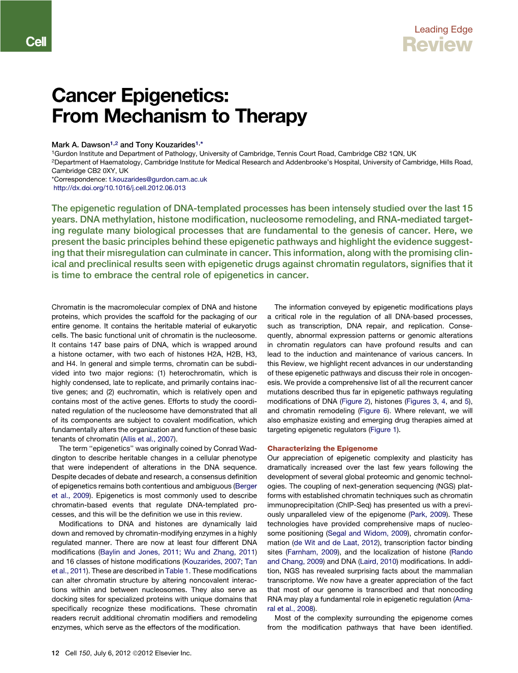 Cancer Epigenetics: from Mechanism to Therapy