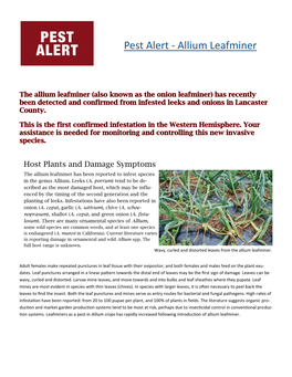 Pest Alert - Allium Leafminer