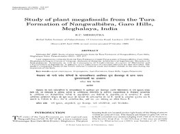 Formation of Nangwalbibra, Garo Hills, Meghalaya, India