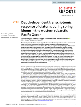 Depth-Dependent Transcriptomic Response of Diatoms During Spring