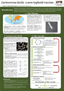 Lactococcus Lactis: a New Typhoid Vaccine