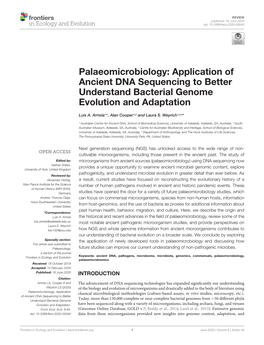 Application of Ancient DNA Sequencing to Better Understand Bacterial Genome Evolution and Adaptation