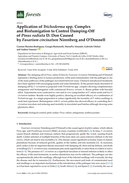 Application of Trichoderma Spp. Complex and Biofumigation to Control Damping-Off of Pinus Radiata D