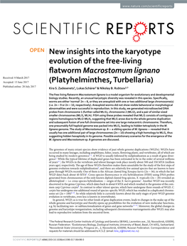 New Insights Into the Karyotype Evolution of the Free-Living Flatworm Macrostomum Lignano