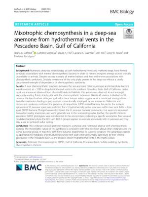 Mixotrophic Chemosynthesis in a Deep-Sea Anemone from Hydrothermal Vents in the Pescadero Basin, Gulf of California Shana K