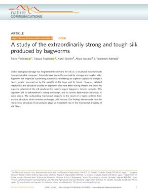 A Study of the Extraordinarily Strong and Tough Silk Produced by Bagworms