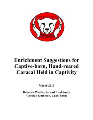 Enrichment Suggestions for Captive-Born, Hand-Reared Caracal Held in Captivity