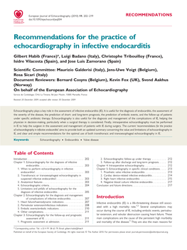 Recommendations for the Practice of Echocardiography in Infective Endocarditis