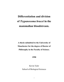 Differentiation and Division of Trypanosoma Brucei in the Mammalian Bloodstream